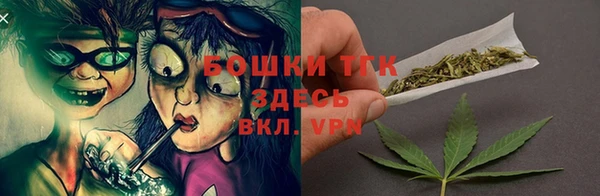 хмурый Арсеньев