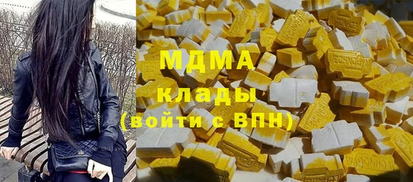 хмурый Арсеньев