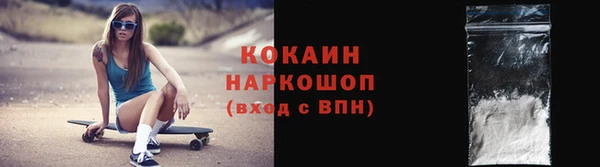 хмурый Арсеньев
