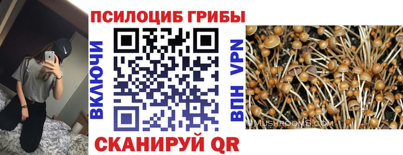 mega ССЫЛКА  Иннополис  Псилоцибиновые грибы мицелий 