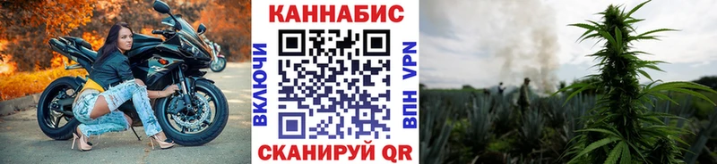 где найти   Иннополис  Бошки Шишки AK-47 